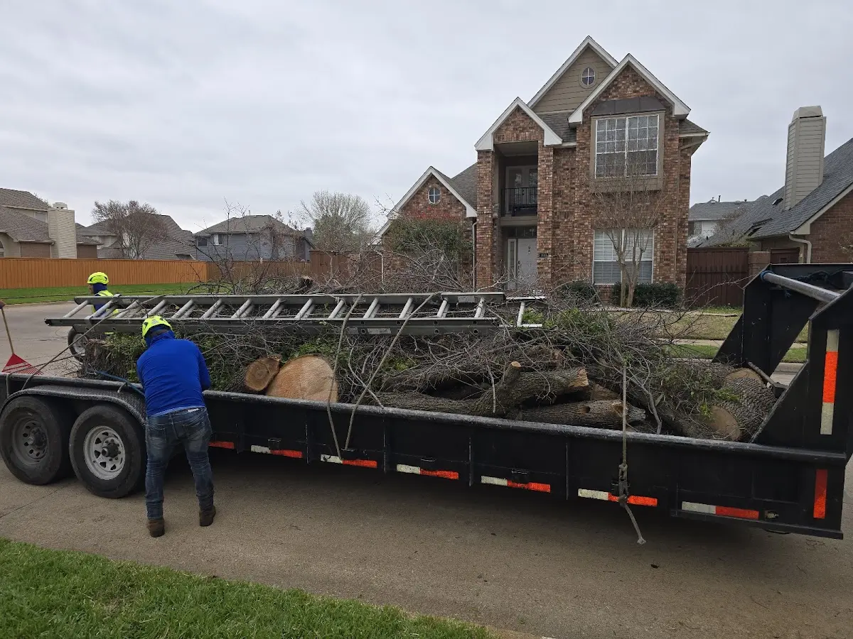 Expert Tree Fertilization with proper safety equipment in Gardiner